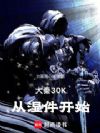 大秦30K从湿件开始